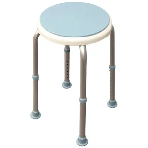 Bath Stool with Rotating Seat