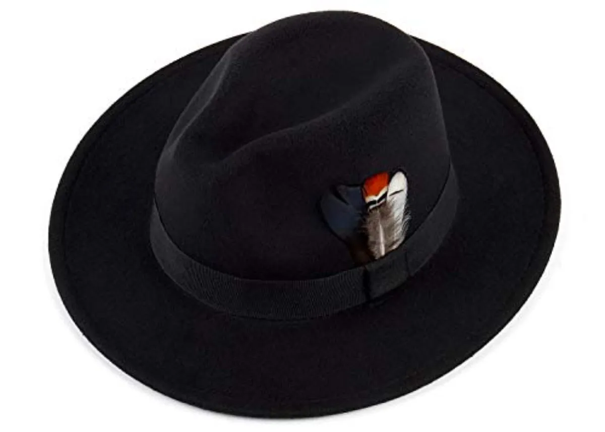 Black Feather Fedora Hat