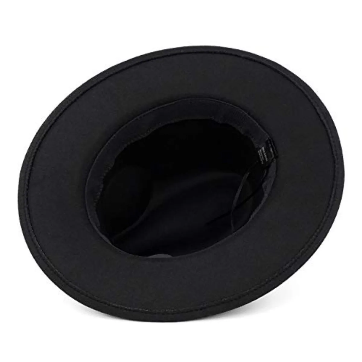 Black Feather Fedora Hat