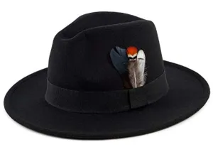 Black Feather Fedora Hat