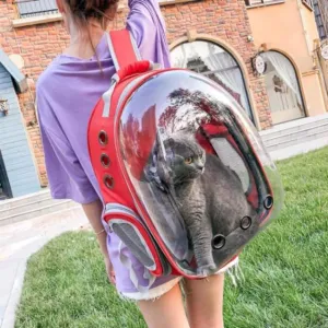 Cat Carrier Backpack with Bubble Window: Stylish and Comfortable Travel for Your Feline!