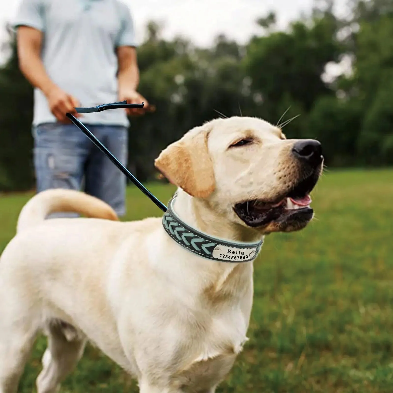 Personalized Leather Dog Collar: Stylish & Adjustable for All Breeds