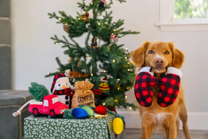 P.L.A.Y. Home For the Holidays |Paw Warmers