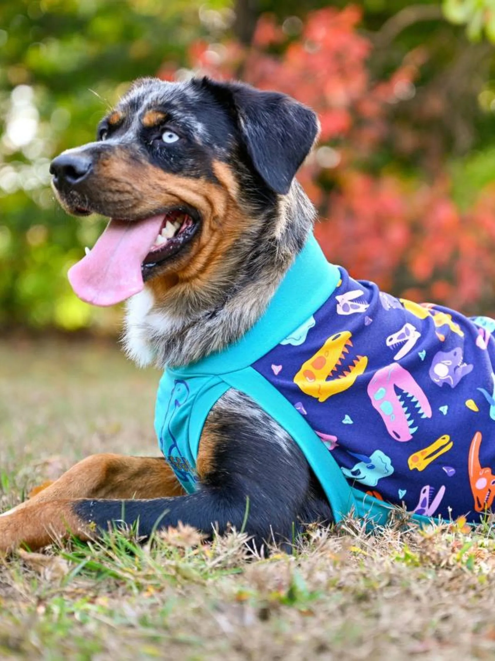 Snuggle Saurus Dog Tank | Custom Vinyl Print