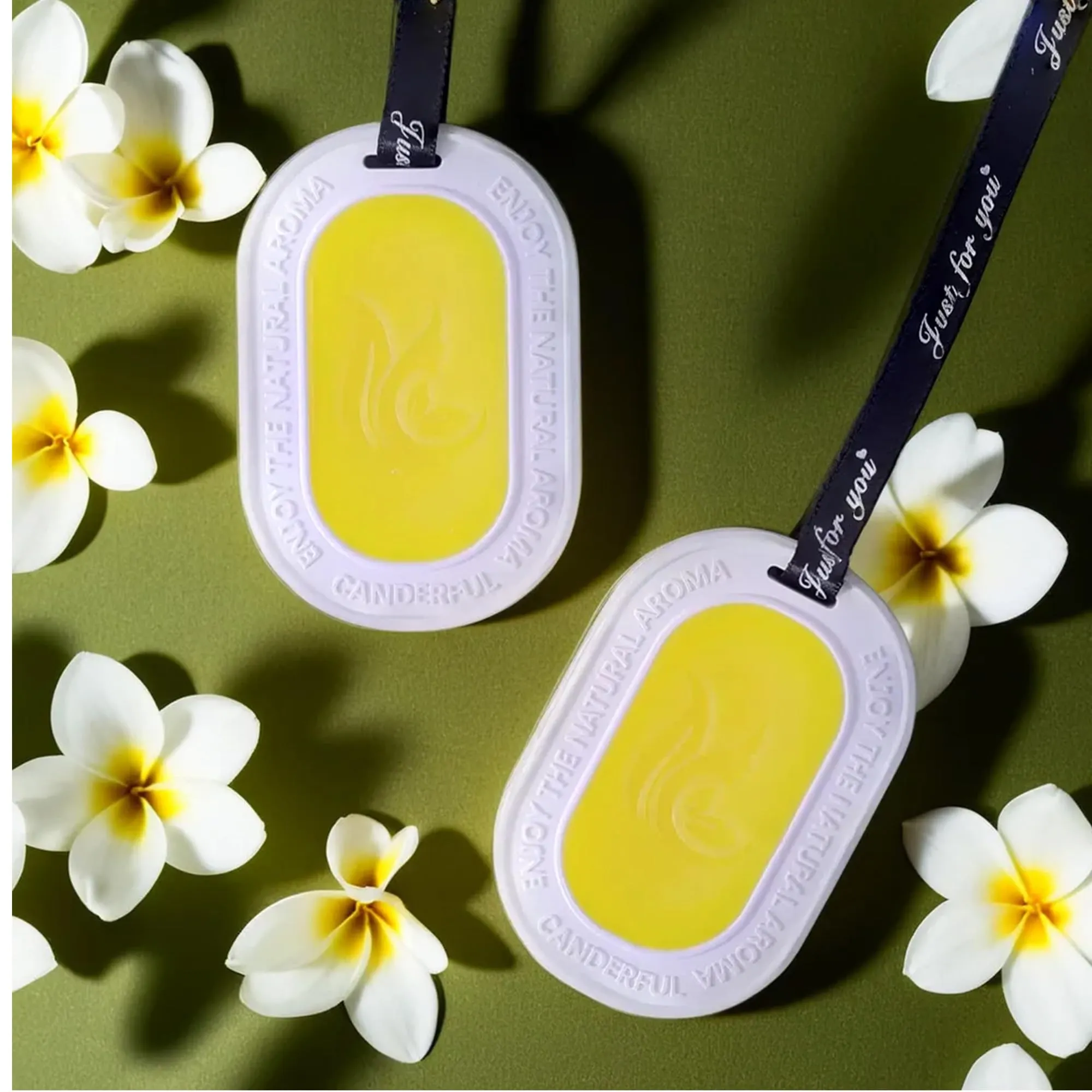 The Better Home Lemon Zest Wardrobe Air Freshener (2Pcs-45g Each) Lasts Up To 6 Months | Scented Wax For Cars Drawers Bathroom Bedroom | Cupboard Freshener For Clothes | Hanging Loop With Plaster Case